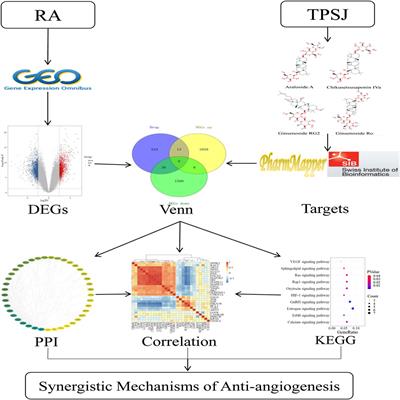 Computational Prediction of Antiangiogenesis Synergistic Mechanisms of Total Saponins of Panax japonicus Against Rheumatoid Arthritis